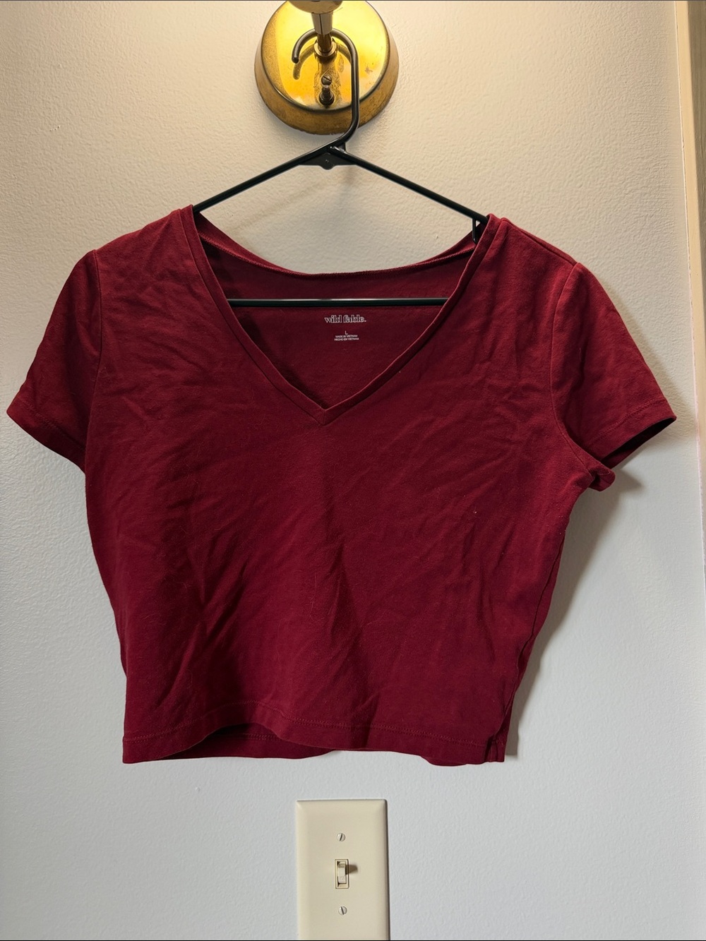wild fable V-Neck Cropped Tee - Wine Red